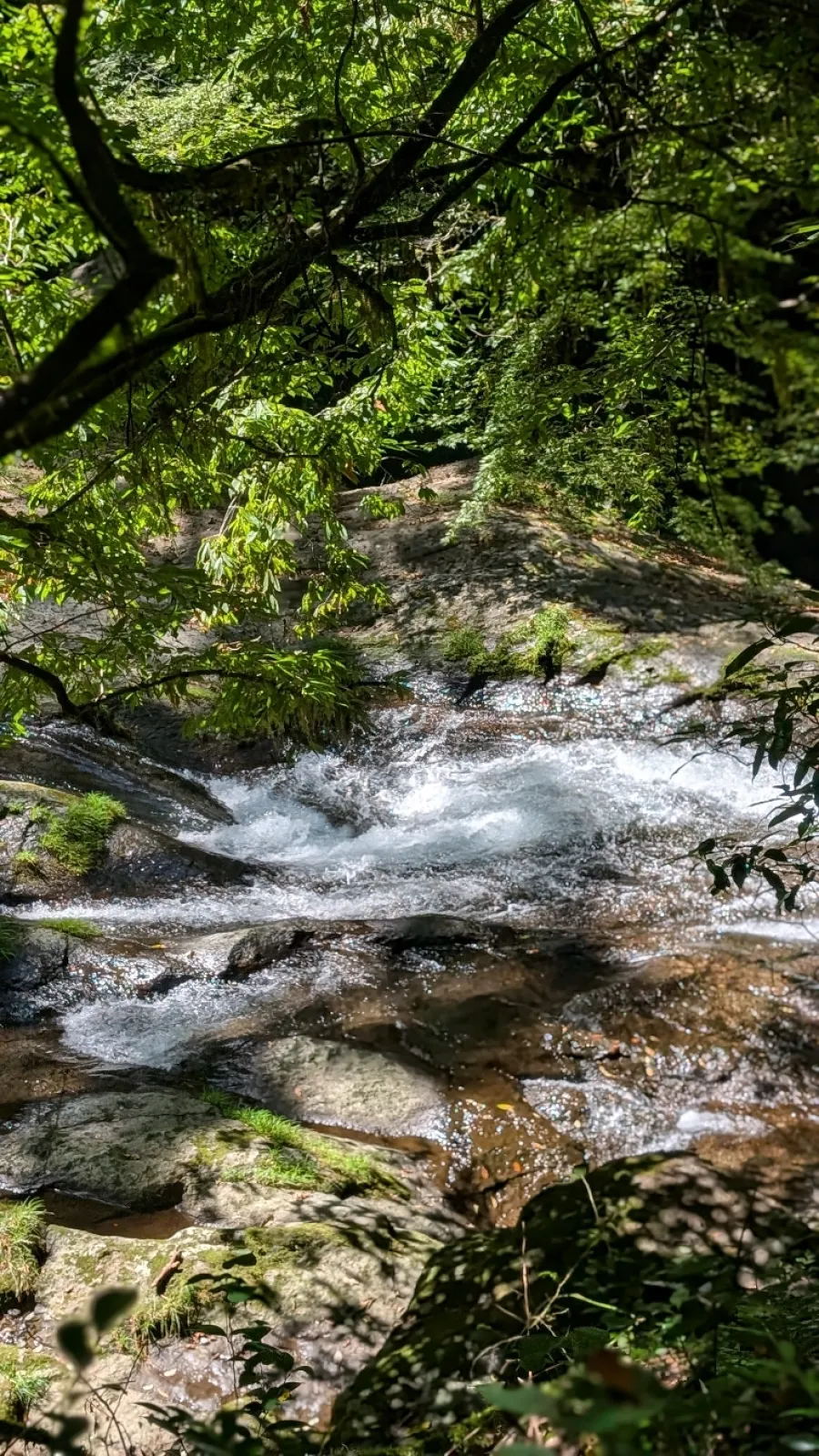 夏の終わりに行きましたが、水辺は涼しくて良かったです。