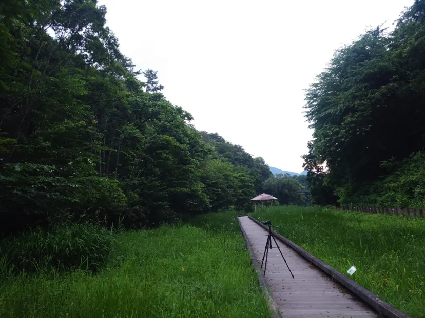 尾入野湿性植物園