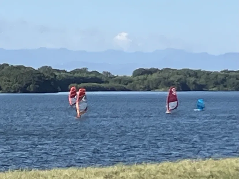 ウインドサーフィン等を見て来ました