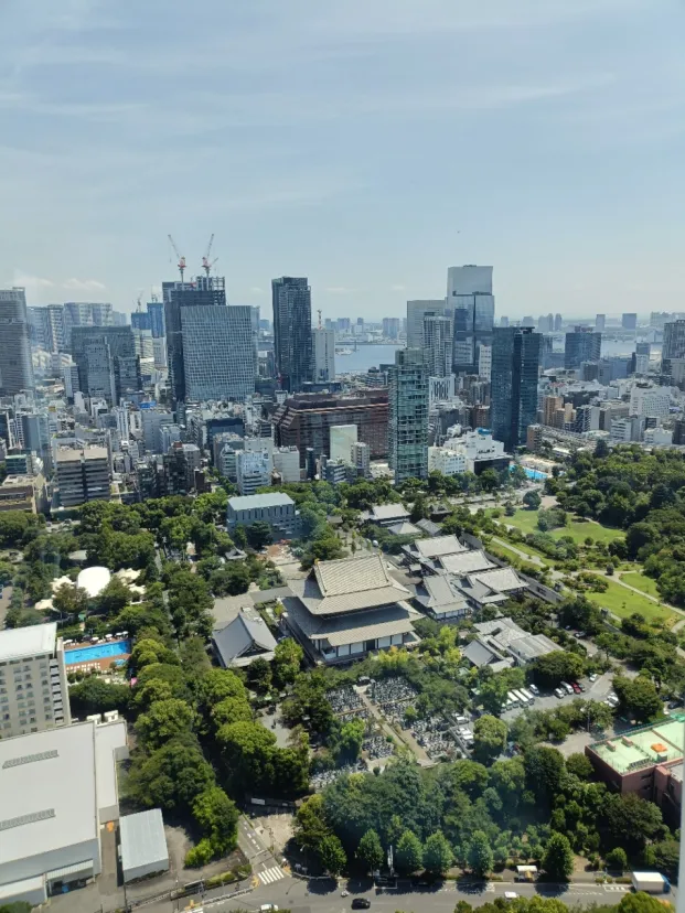 東京タワーからの