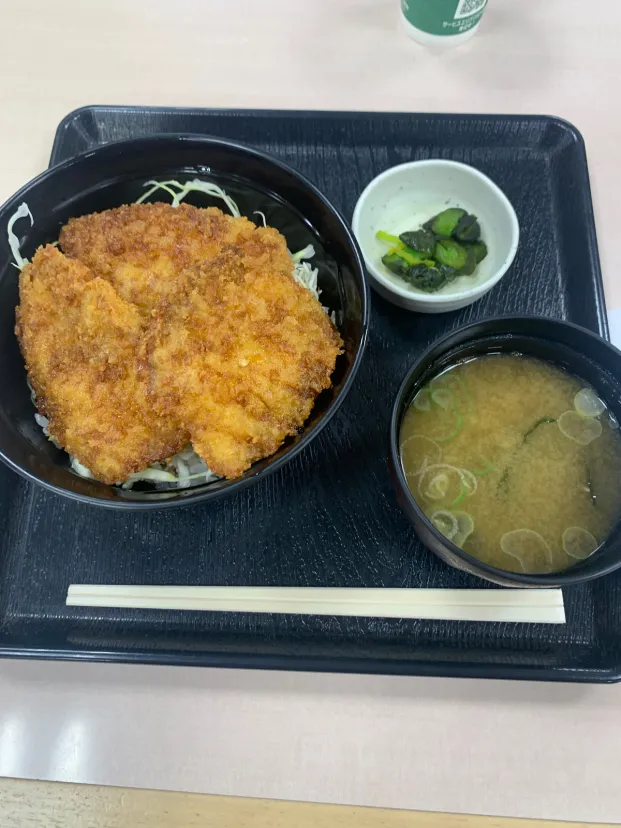新潟タレかつ丼
