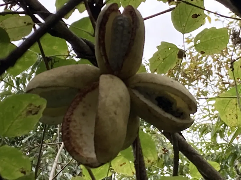 スカイラインで関ヶ原