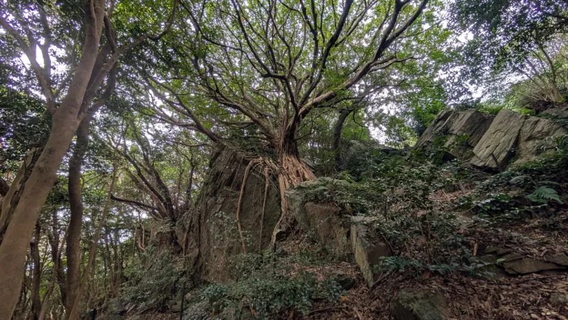 西椿公園