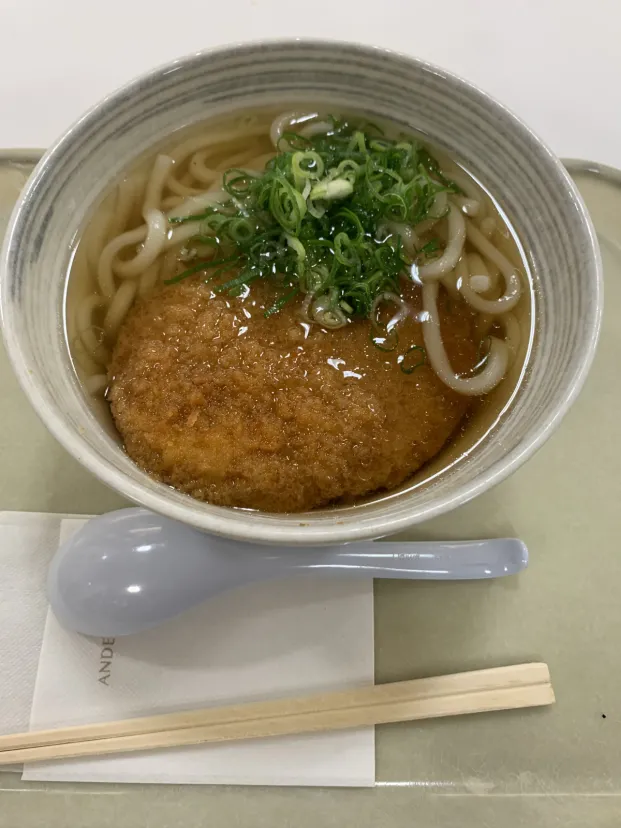 がんすうどん