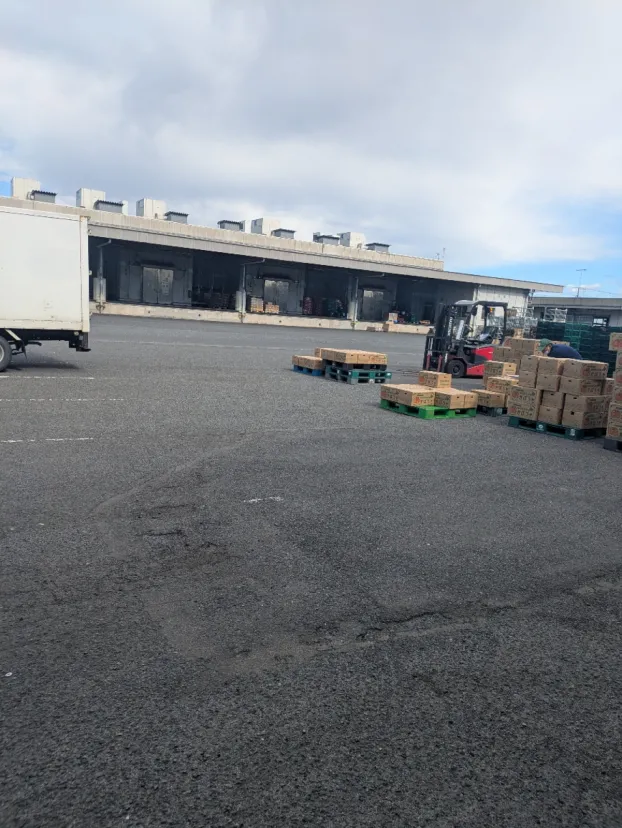 とある栃木県市場