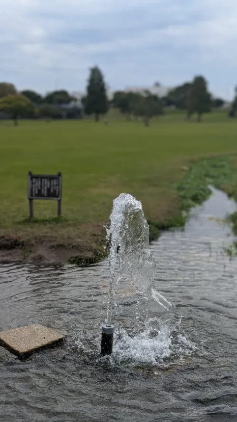 江津湖　広木公園