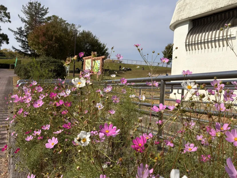 サリオパーク祖父江にて