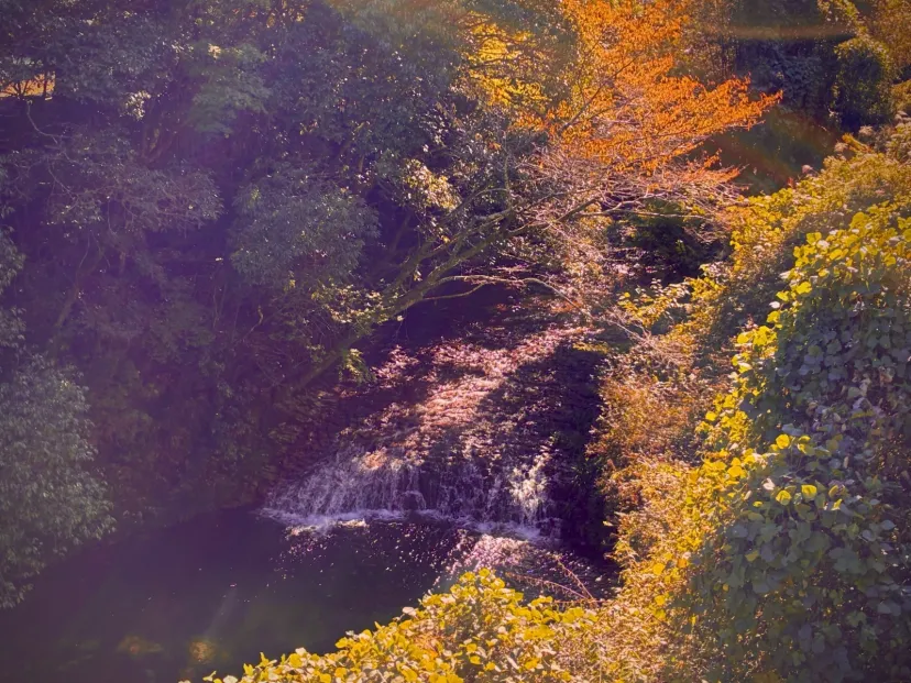 東栄町にて紅葉めぐり