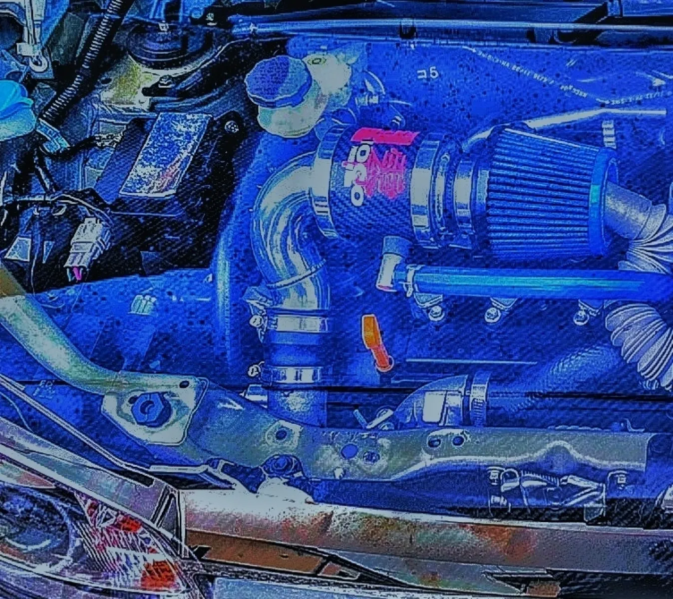 スケルトンボンネット