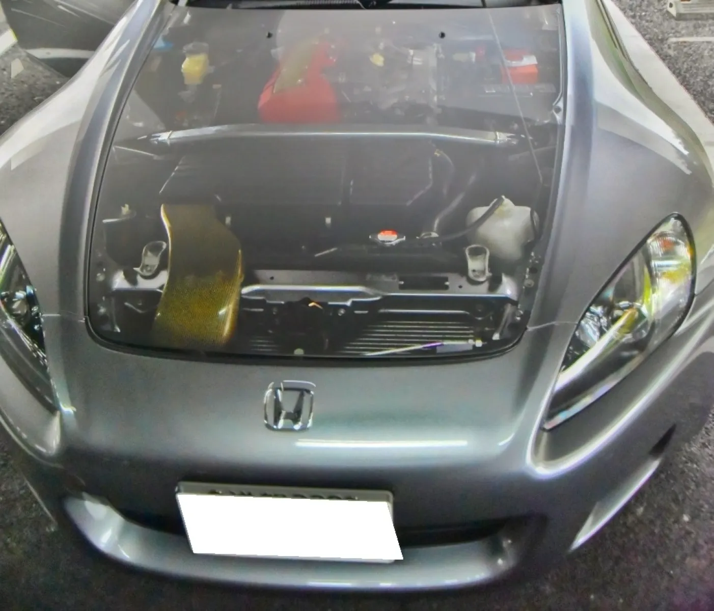 スケルトンボンネット