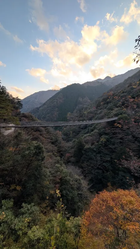 紅葉狩り帰りに吊り橋へ