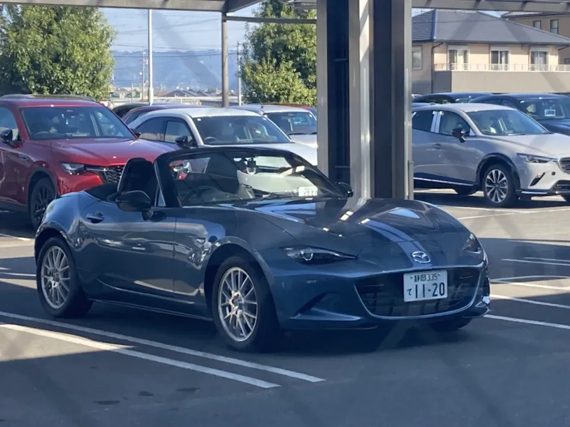 NB. ND 半年点検　ドアウインドウモールメンテ