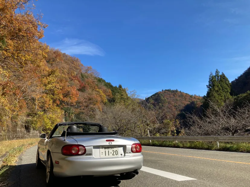 NB Ｒ300の景色‼️2025