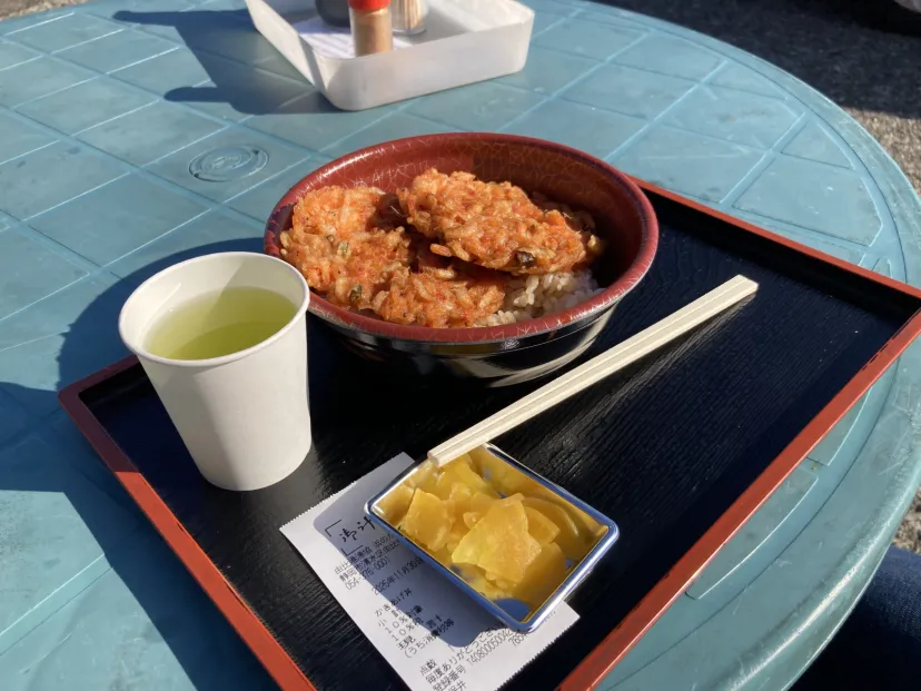 ND かんなみ仏の美術館後の桜エビかき揚げ丼