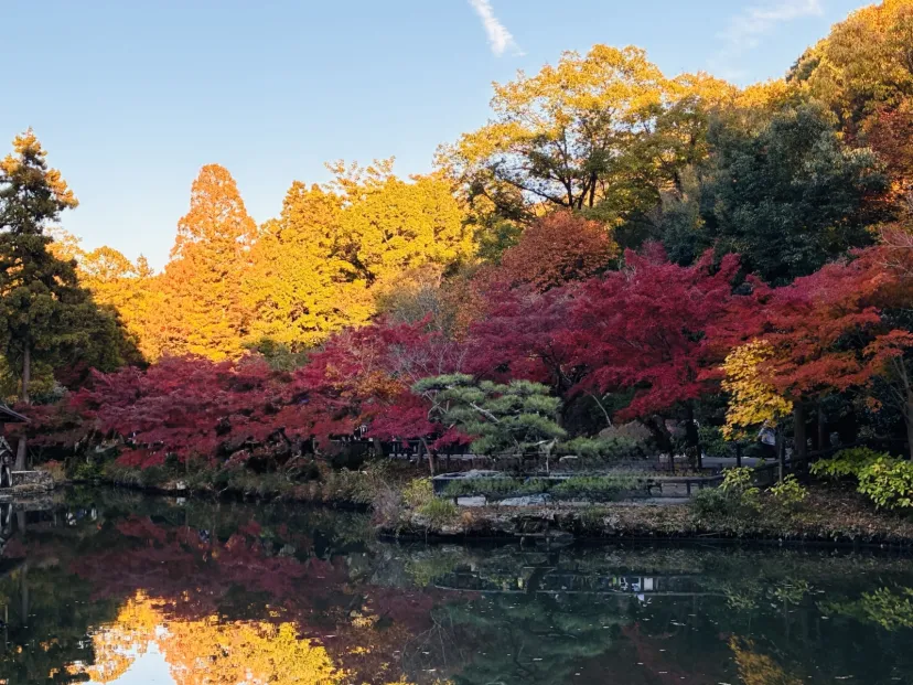 東山植物園にて