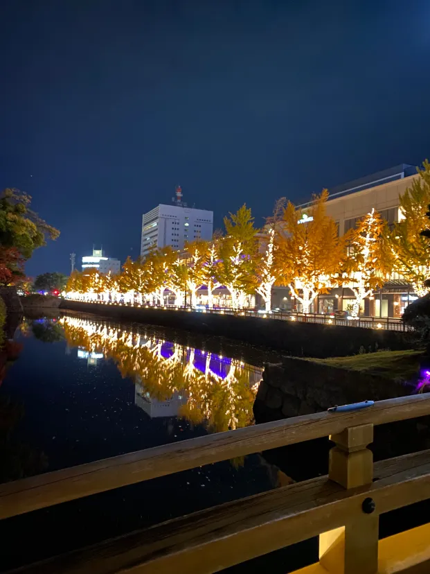 きらきら和歌山城♡((東京とか大阪イルミ行きたい🥳✨✨