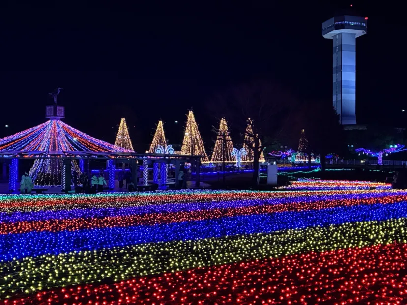 イルミネーション