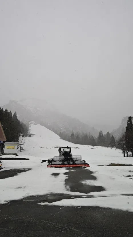 来週からオープンです