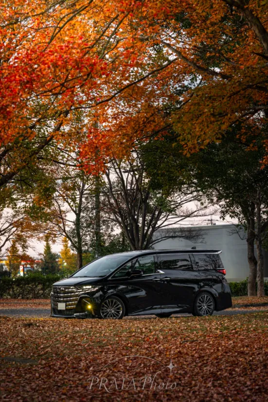 七五三撮影に訪れた際に出逢った秋色