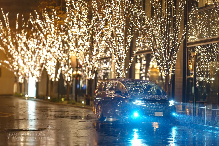 光降り注ぐクリスマスイルミネーション