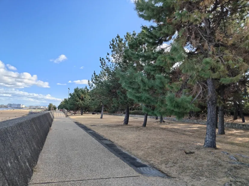 兵庫県甲子園浜海浜公園　兵庫県