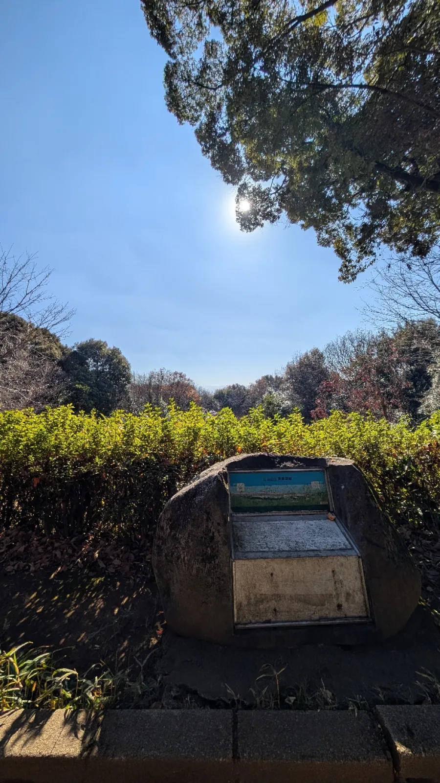 午前中少しだけ歩いてきました
木漏れ日の中、鳥のさえずりを聞きながらのウォーキングは最高でした！