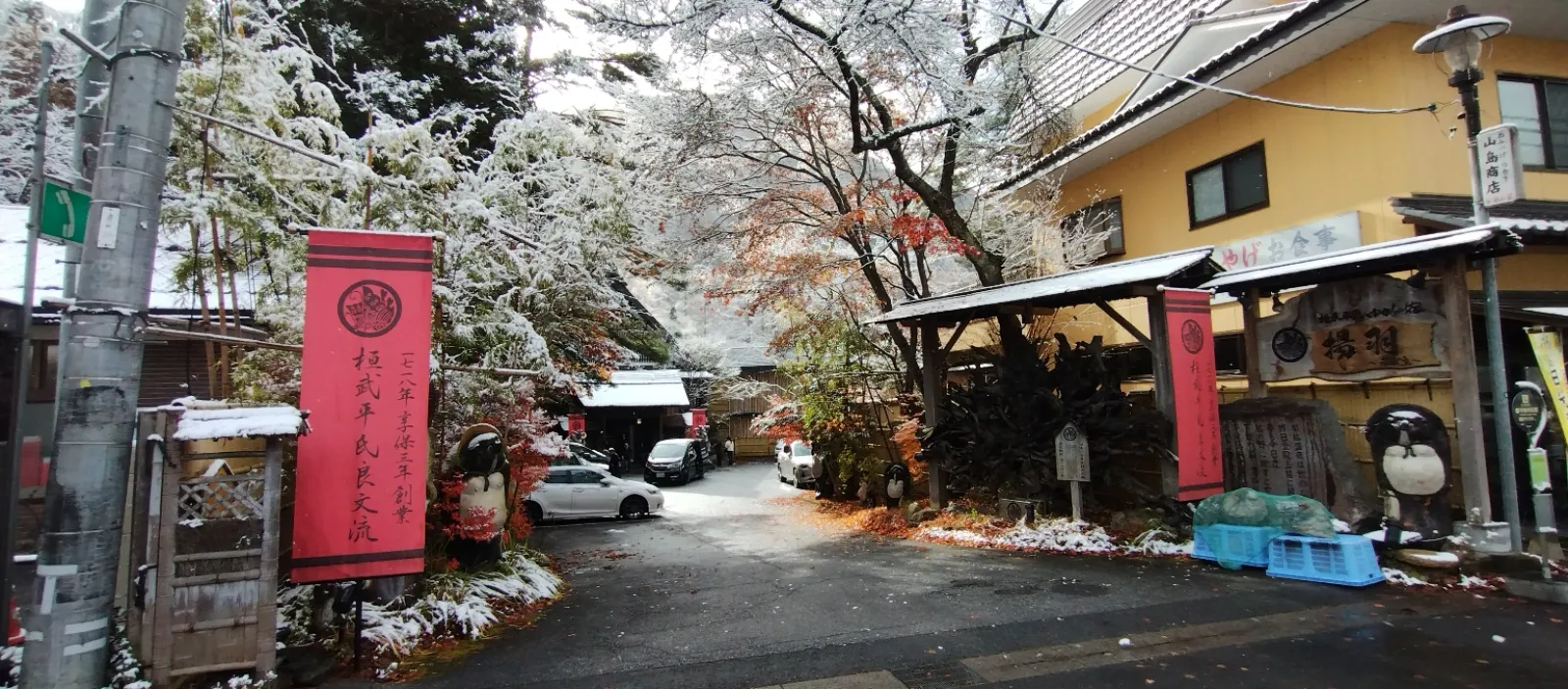 初雪だそうです