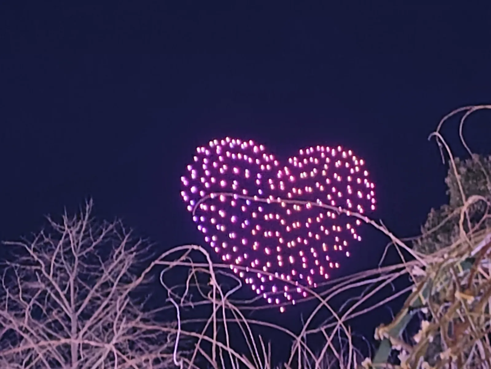 ショーは明日までなのですが、ライトアップもとても綺麗です