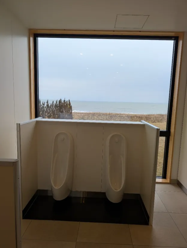 太平洋を眺めながら