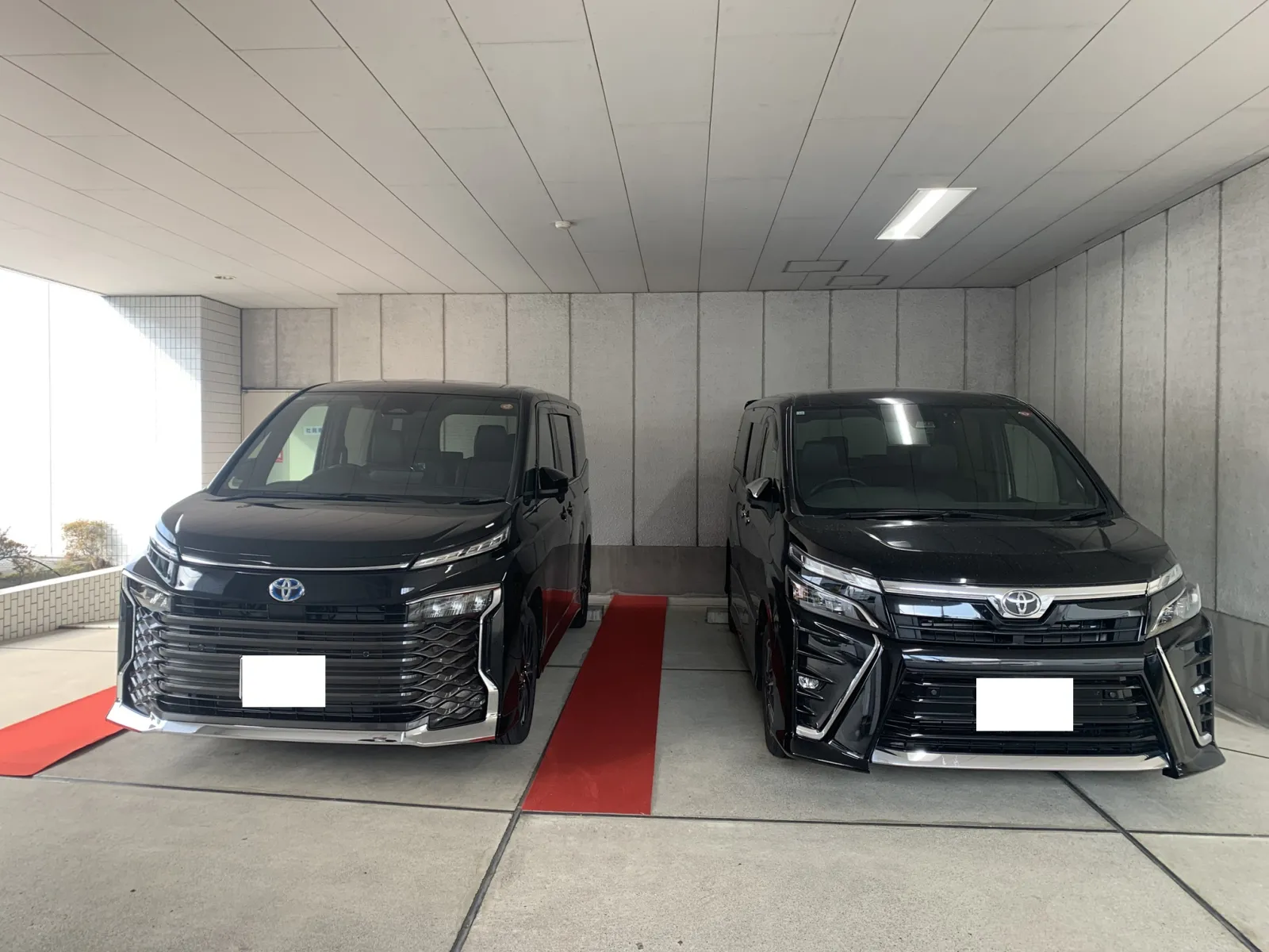 2024年1月に契約し、2024年12月には組み立て完了して
2025年1月に登録された我が家の愛車。
誕生して1年たちました。

名前は前回と同じ。

最初のおでかけ先は、越谷レイクタウン。
そこから、連休を見つけては関門海峡～津軽海峡まで
太平洋の風も日本海の風も感じて走ってくれました。
今回は早い段階で1万キロ走破。

ハイブリッド車にしたことで、給油回数が減り
遠出がしやすくなりました。

8人乗りから7人乗りになったことで
仮眠時のベッドメイキング？が未だ 改良の余地あり。

先日、納車1年を待たずに1年点検に入れました。
ワイパーがぎこちない動きをするようになった点と
寒い時期だと駐車時にキーキー音が気になるぐらいで、万事順調です。