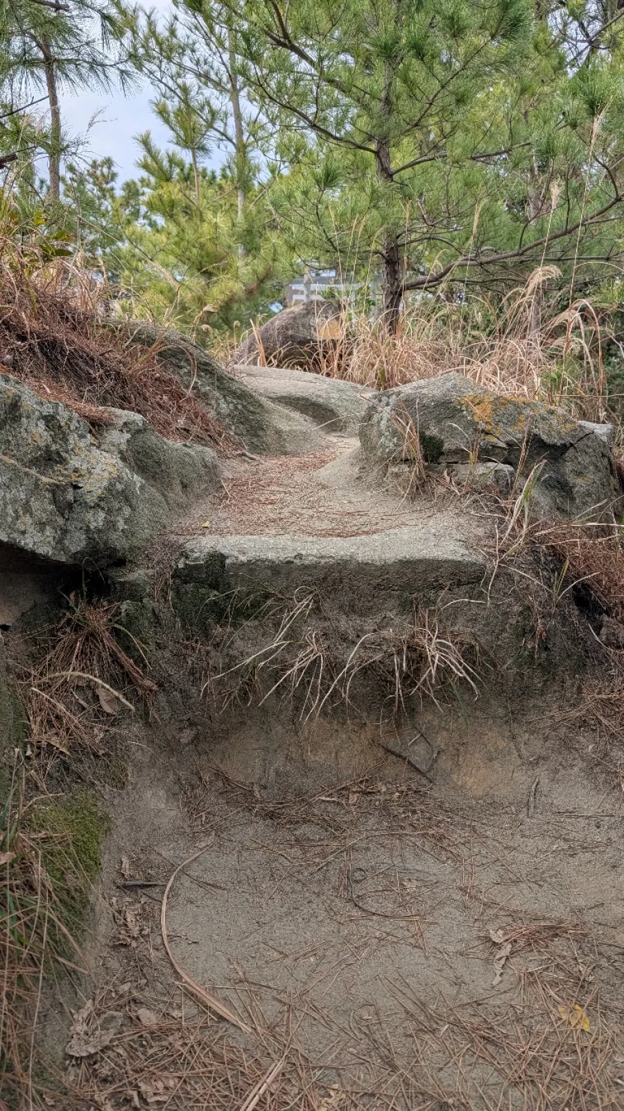 なかなかの段差でした。