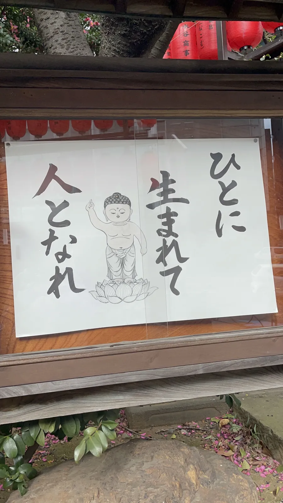 お正月ずらして帰省中
車の運転はお休みです
めっちゃいいこれ
