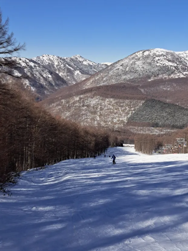 湯の丸スキー場のレストハウス　ファミリー