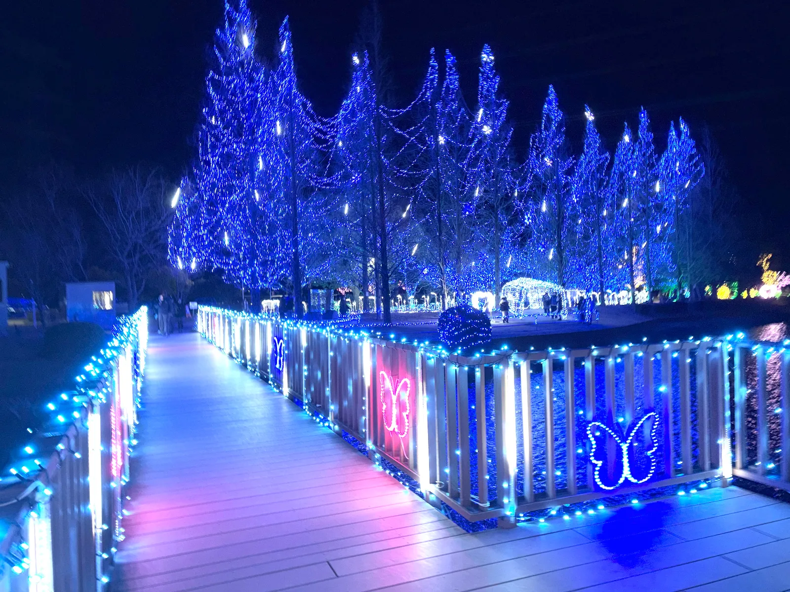 かわちイルミネーションに行って来ました
とても綺麗な公園でした
とても無料のイルミネーションとは思えない出来上がりでした