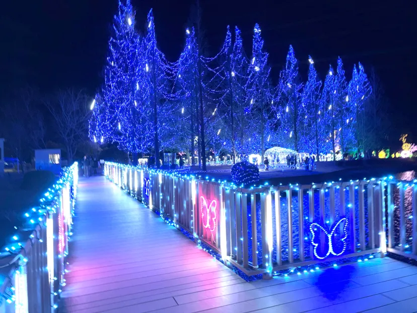 イルミネーション