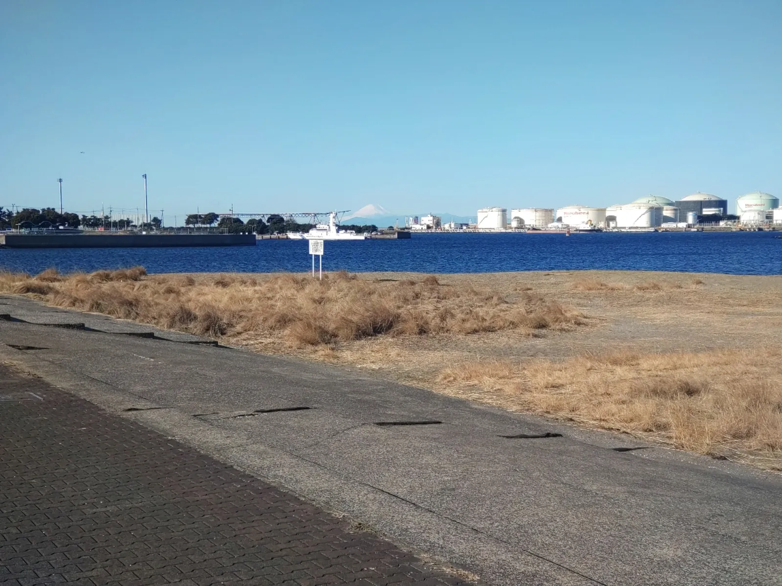富士山が綺麗に見えました😄