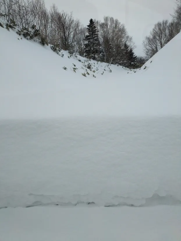 入れない！ポイントにいけない