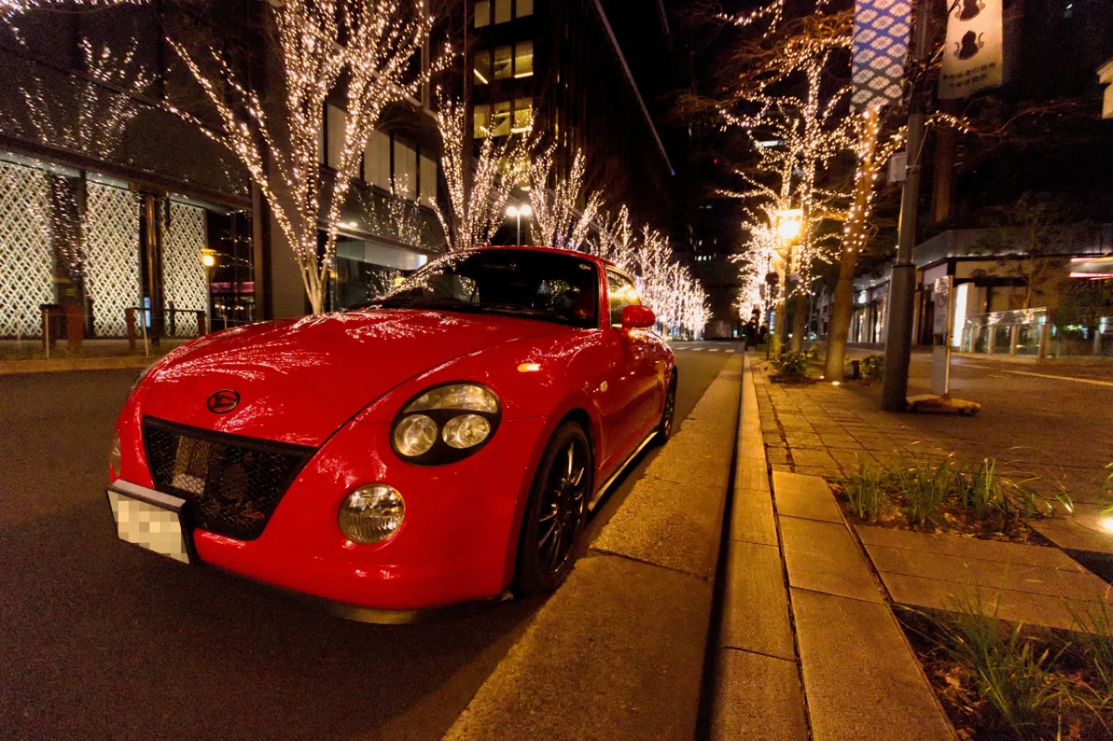 三脚を使わずに手持ちで撮影しましたが、やっぱり三脚で撮ったほうが奇麗だな