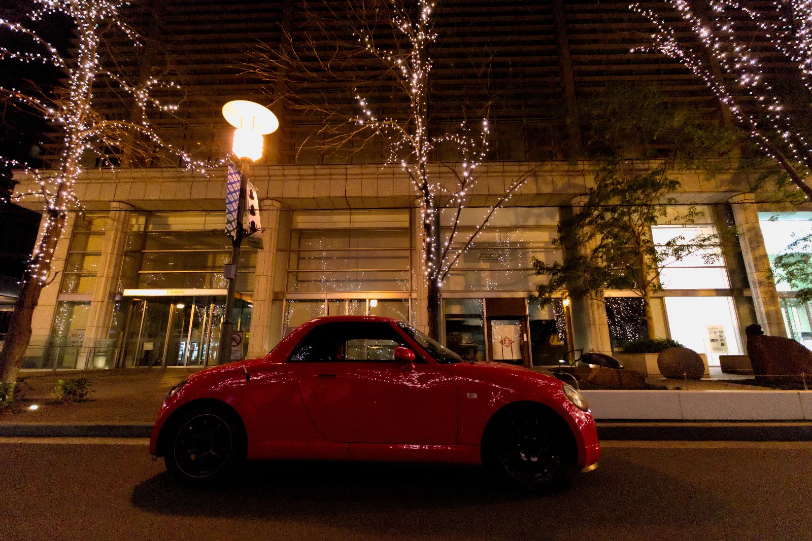 横からの姿もお気に入りです