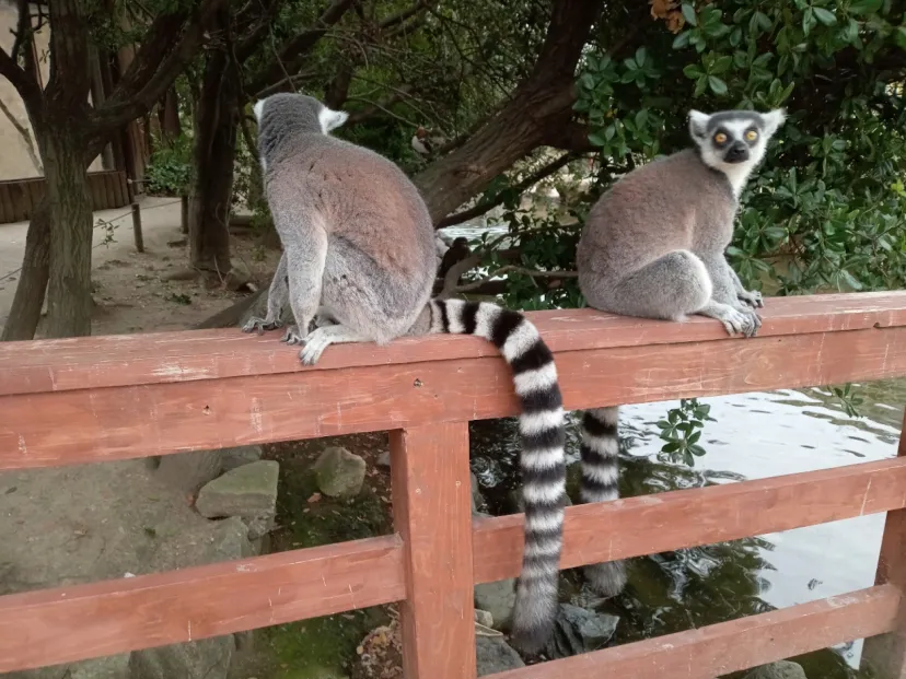 神戸どうぶつ王国