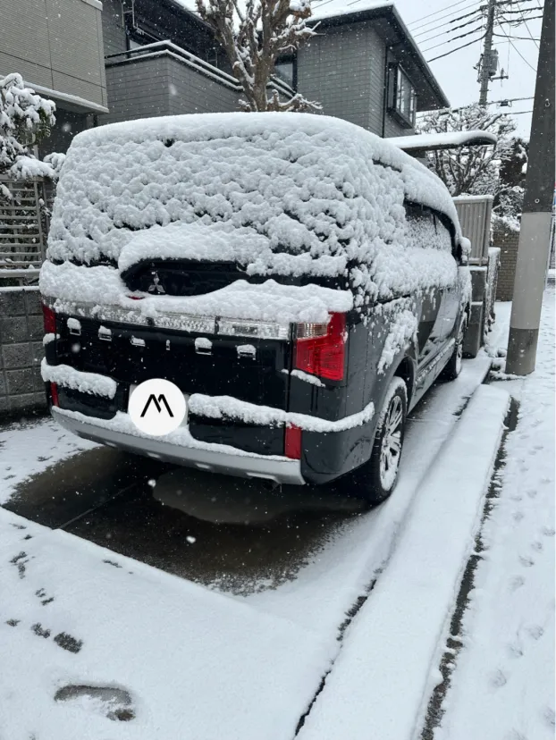 東京も久しぶりに積もりました