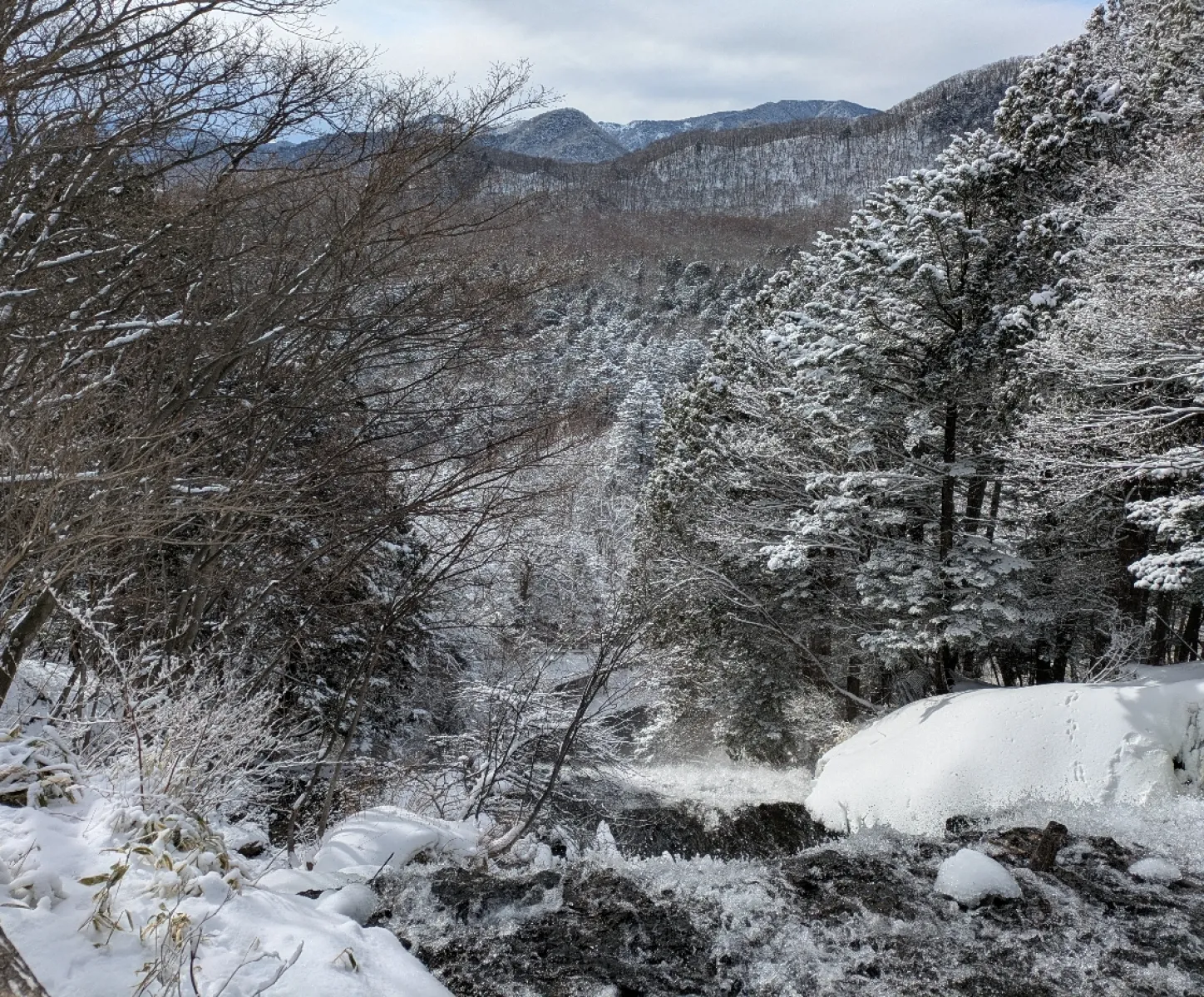 振り返って湯滝の上です