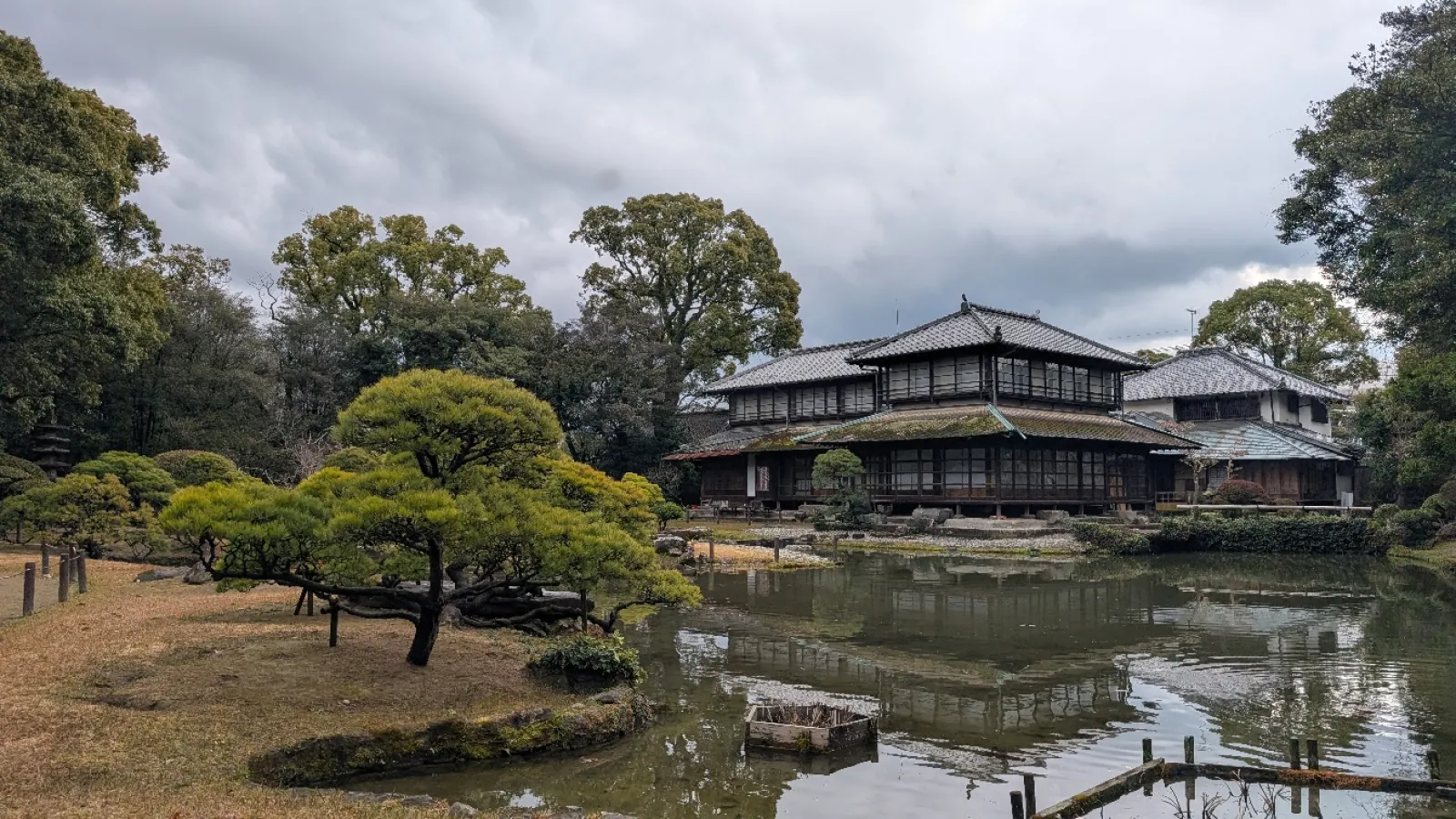 立派な日本庭園に大きな錦鯉が優雅に泳いでいました。
雨上がりだったので、足元は悪かったですがお客様が少なくて受付の方が丁寧に説明、案内してくださいました。
5月頃には菖蒲の花が咲き誇り、普段入れない建物内でお茶会も開かれるそうです。