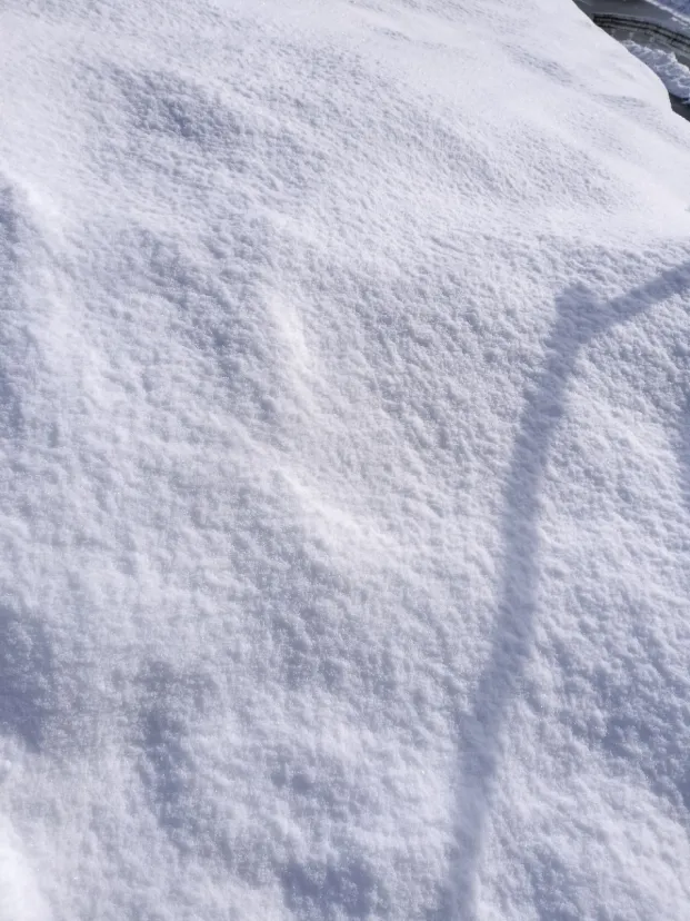 山形は今年も結構パウダースノー！