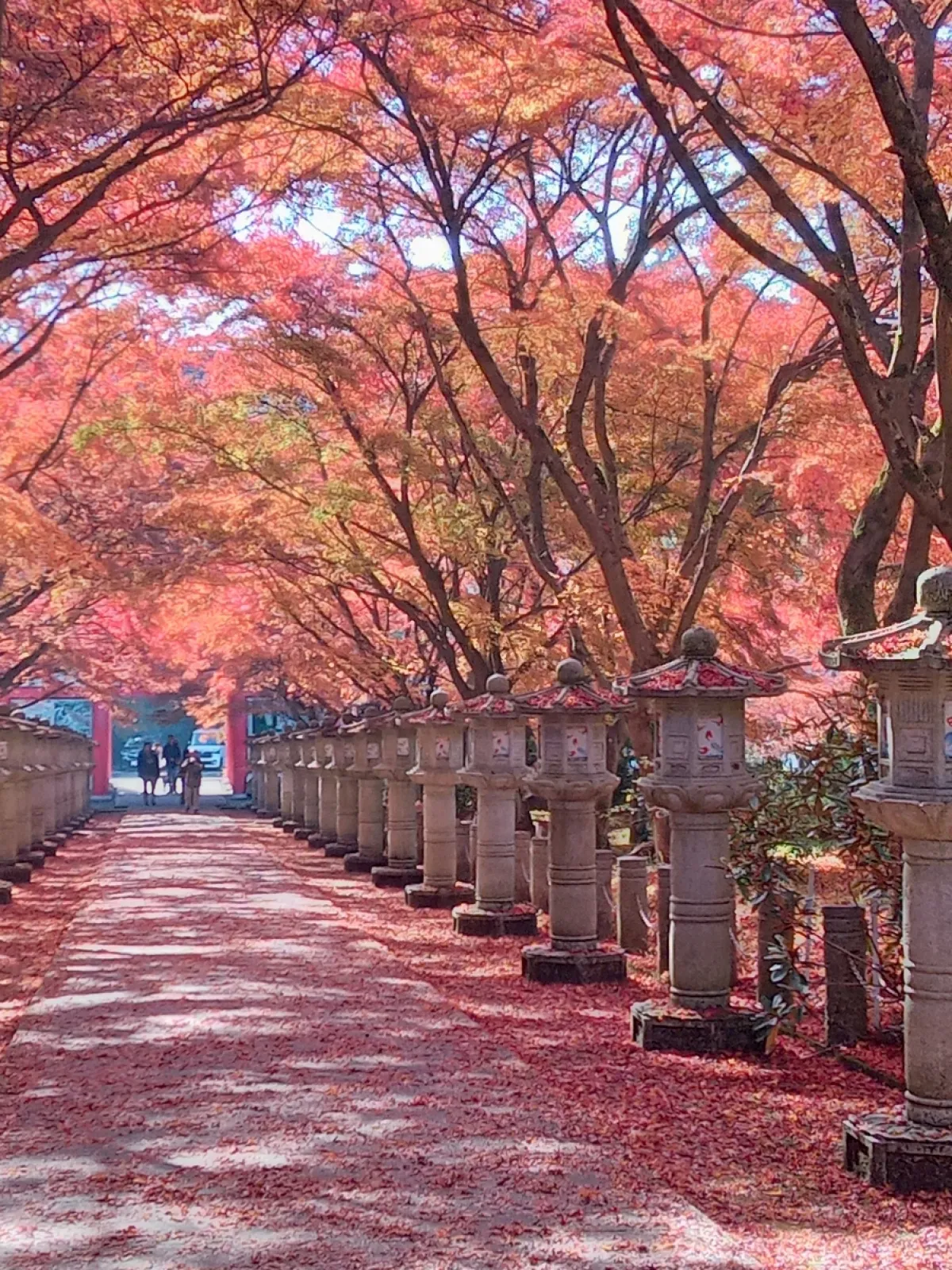 去年の🍁🍁マイカー旅　