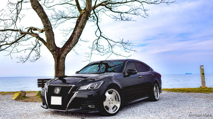 撮影ありがとうございました