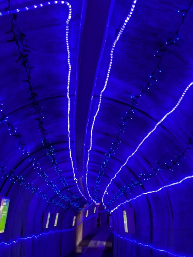 たるまの滝親水公園