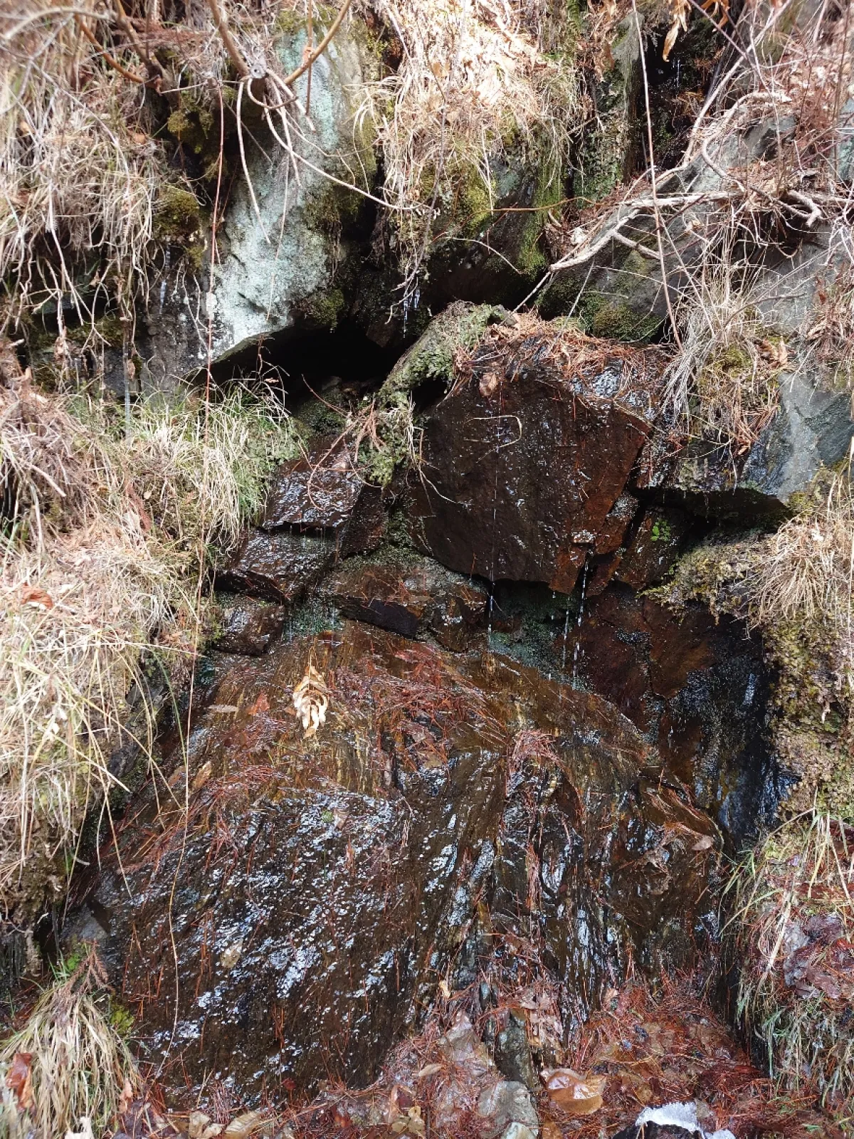 飲めないみたいだ。
まあ、飲もうと思うほどの水量は無い。
冬場の渇水期だからかな？