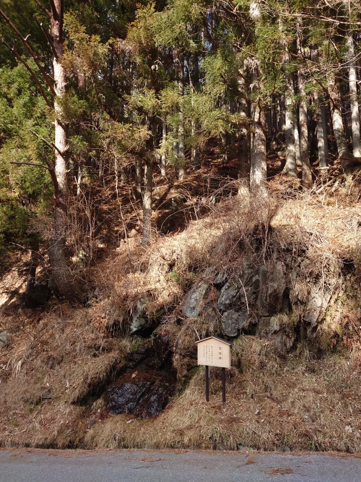 道の途中にある。
全体はこんな感じ。