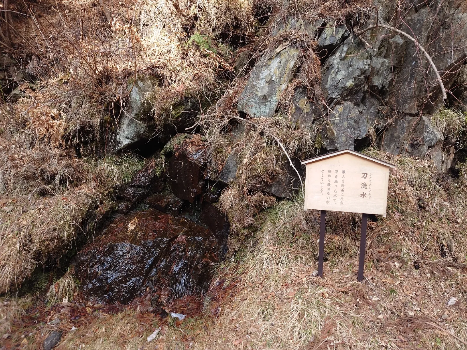 玉山金山跡地への道の途中にある水場。
「刀洗水」の看板が有る。
飲めないみたいだ。
用途が怖いわ。